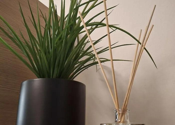 Artistika On The Lägenhet *